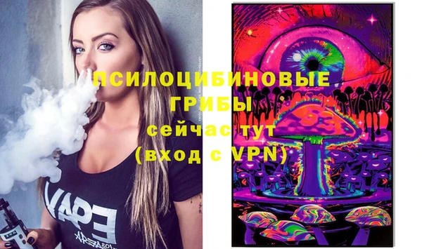 молекула духа Козловка
