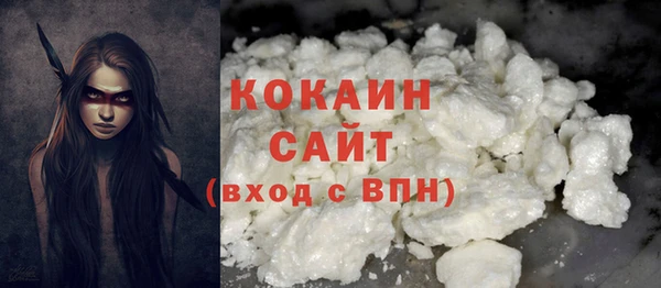 молекула духа Козловка
