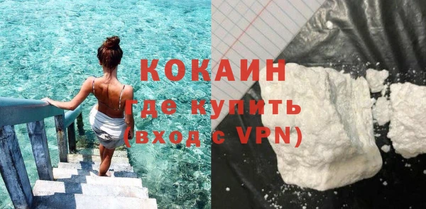 молекула духа Козловка