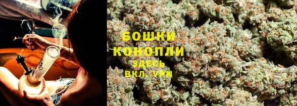 молекула духа Козловка