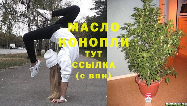 молекула духа Козловка