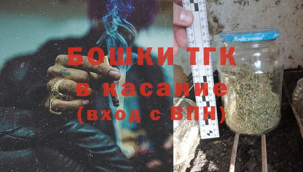 молекула духа Козловка