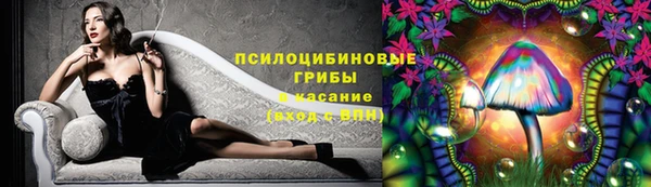 гидропоника Кодинск